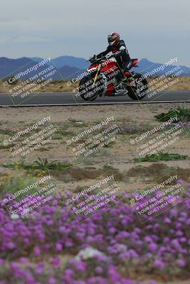 media/Jan-14-2023-SoCal Trackdays (Sat) [[497694156f]]/Turn 14 Exit Bloomig (145pm)/